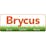 Brycus