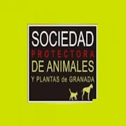 Sociedad protectora de animales y plantas de Granada